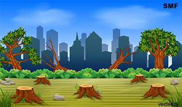 Urban Development